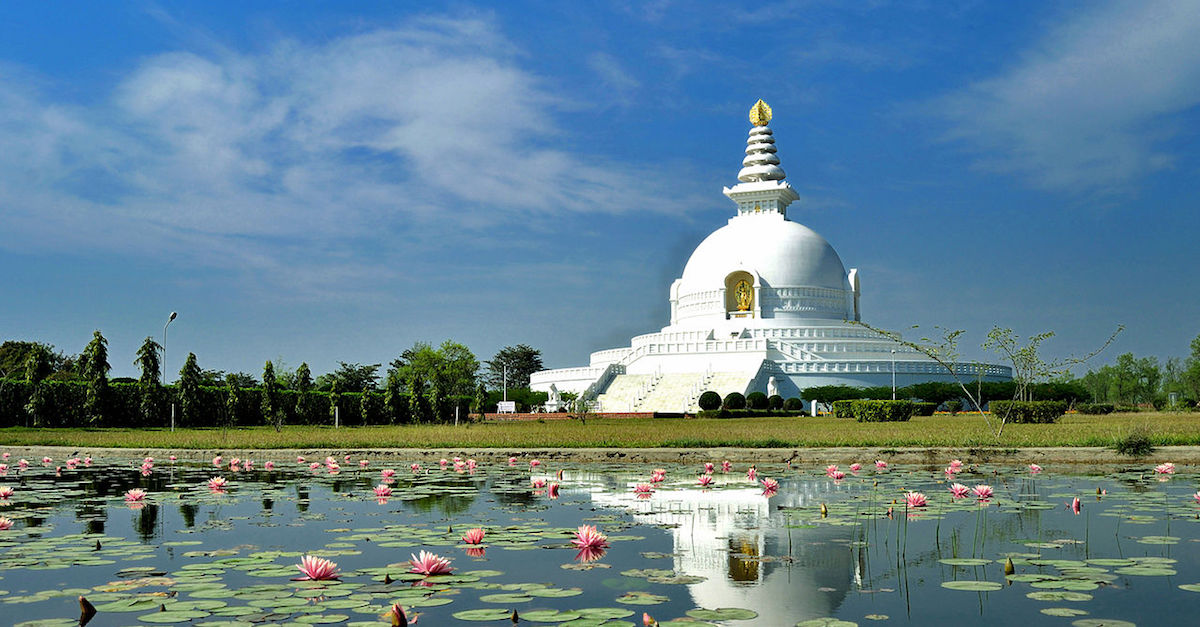 Project noosphere Media item